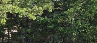 Well Located, Well Loved