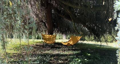 4 rooms in a renovated eco house in a quiet natural setting