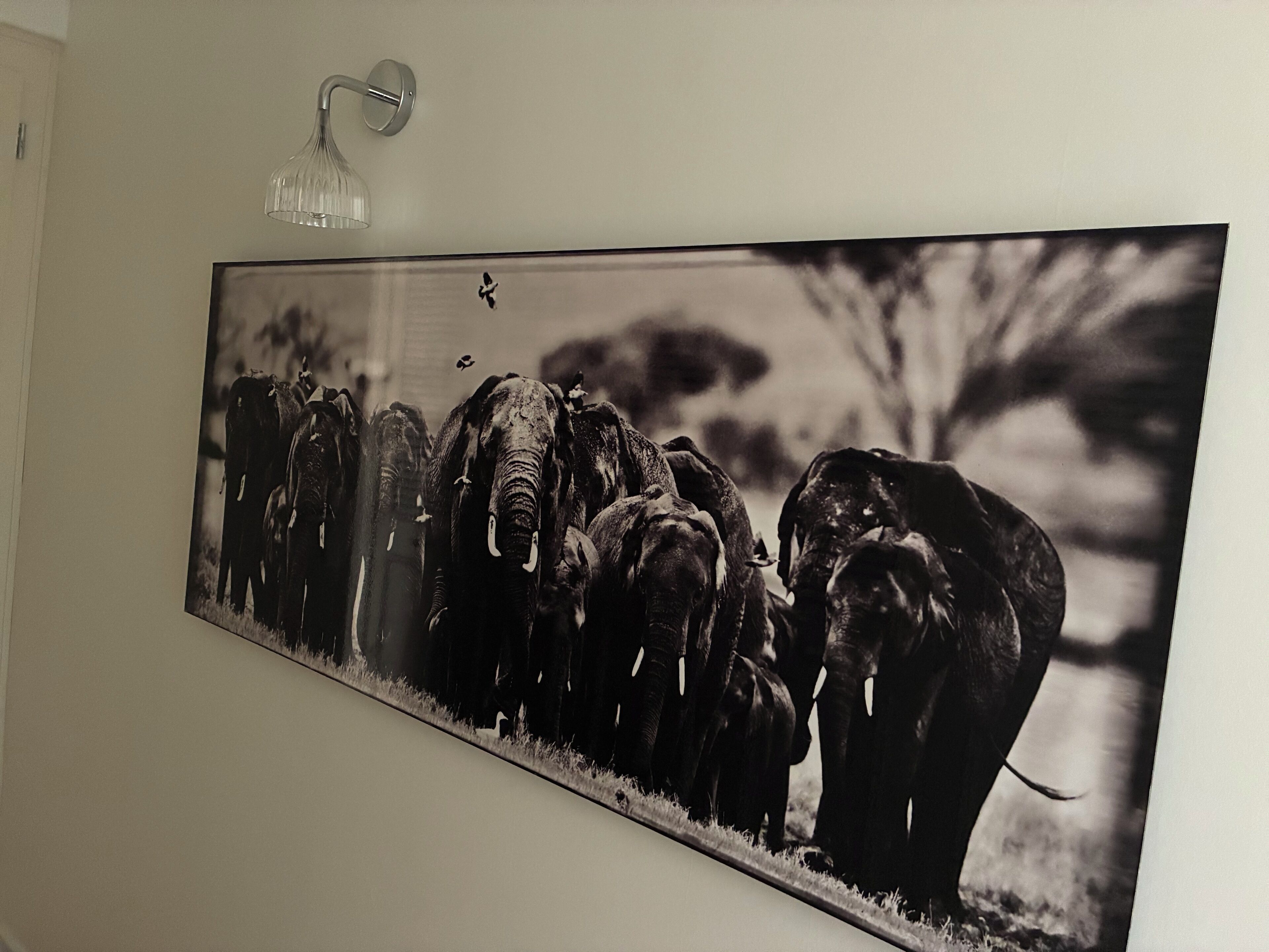 A large black and white photograph of elephants on a wall.
