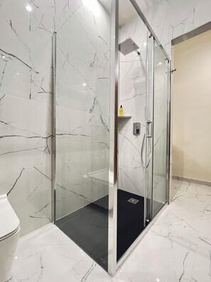 Regadera, secadora de cabello, bidet, toallas 