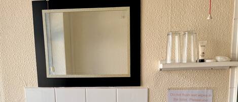 A bathroom with a white sink, a mirror with a black frame, and a sign instructing not to flush wipes in the toilet.