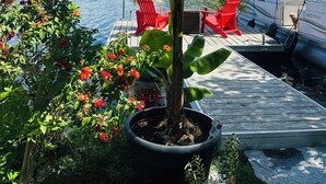 Un quai avec une plante en pot et des chaises rouges, un bateau et une étendue d’eau en arrière-plan.