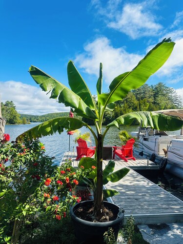 Chalet on Lac Écho ice fishing. A true haven of peace.