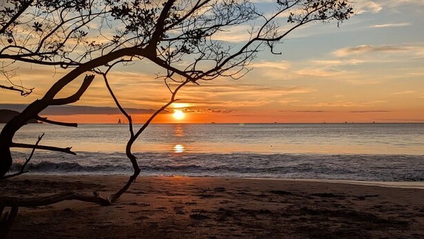 A beach scene with a sunset, ocean waves, and a tree in the foreground. - Lovely villa with AC in Playa Potrero, Guanacaste. Enjoy nature and the beach (Playa Potrero, Santa Cruz)