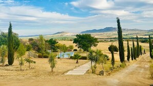 A rural landscape with a dirt path, cypress trees, and a small pool.