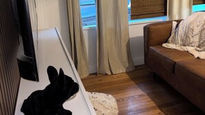 A room with a sofa, a TV, and a window with curtains.