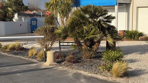Un bâtiment avec un toit bleu, des palmiers et une allée gravillonnée.