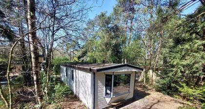 Forest cottage Dennenrust on the Veluwe in Hattemerbroek. Pets are welcome!