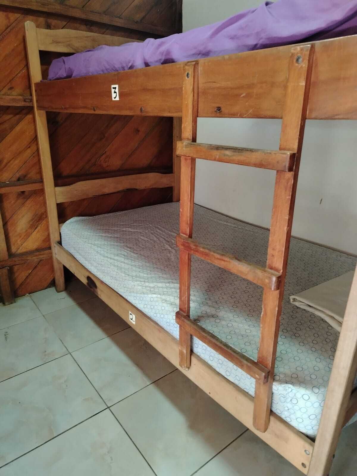 Classic Shared Dormitory