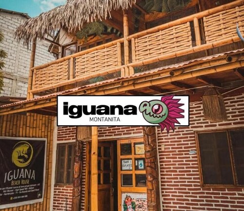 Iguana Montañita