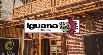 Iguana Montañita
