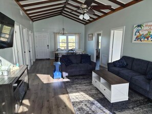 Smart TV, fireplace, books