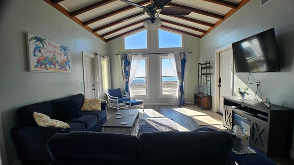 Smart TV, fireplace, books