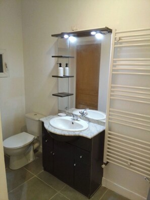 Shower, hair dryer, soap, toilet paper