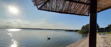 Beach nearby, sun-loungers