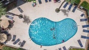 An aerial view of a swimming pool surrounded by lounge chairs and palm trees. - Classic Coastal Condo, Oceanview, Short Walk to Coligny, & Free New Bikes! (Hilton Head Island)