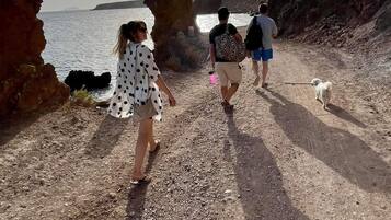 Biệt thự, 3 phòng ngủ, ban công | Bãi biển