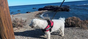 公寓, 3 間臥室, 陽台 | 海灘