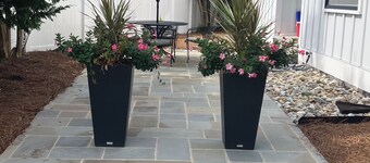 Charming Room in Downtown Rehoboth Beach