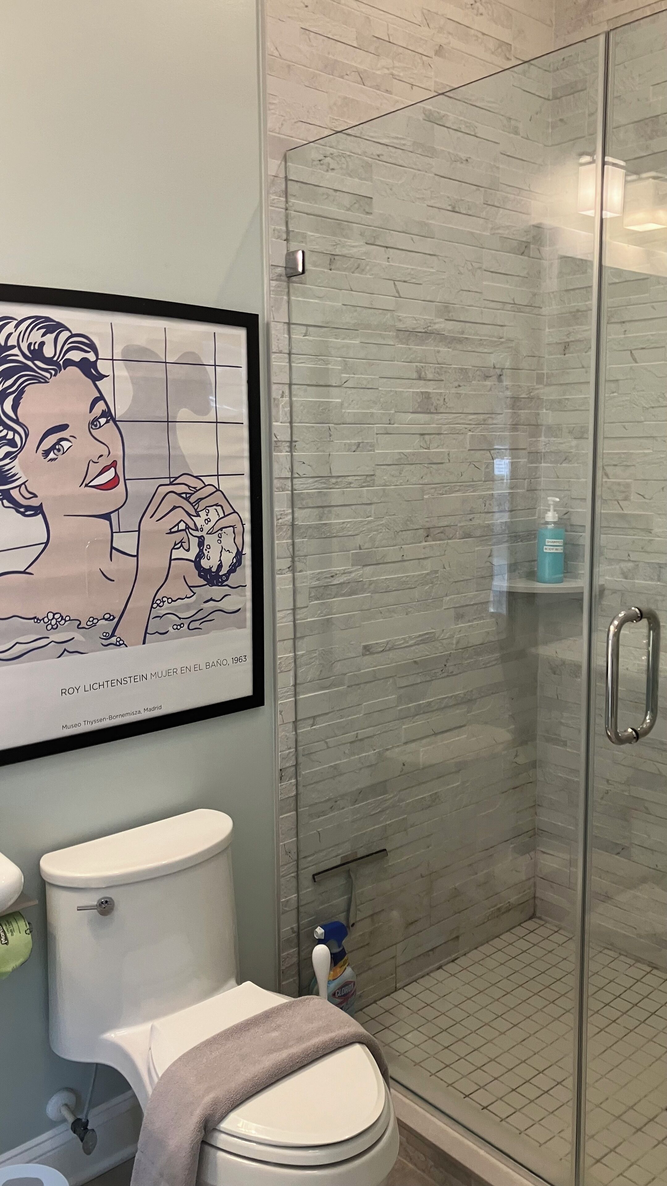 Secadora de cabello, toallas, jabón, shampoo 