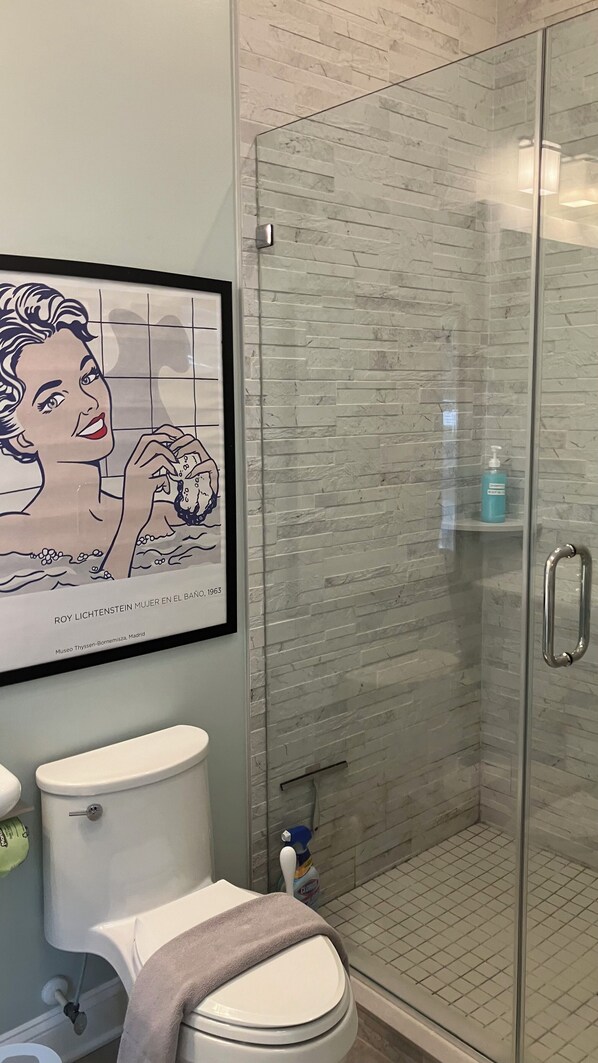 Hair dryer, towels, soap, shampoo