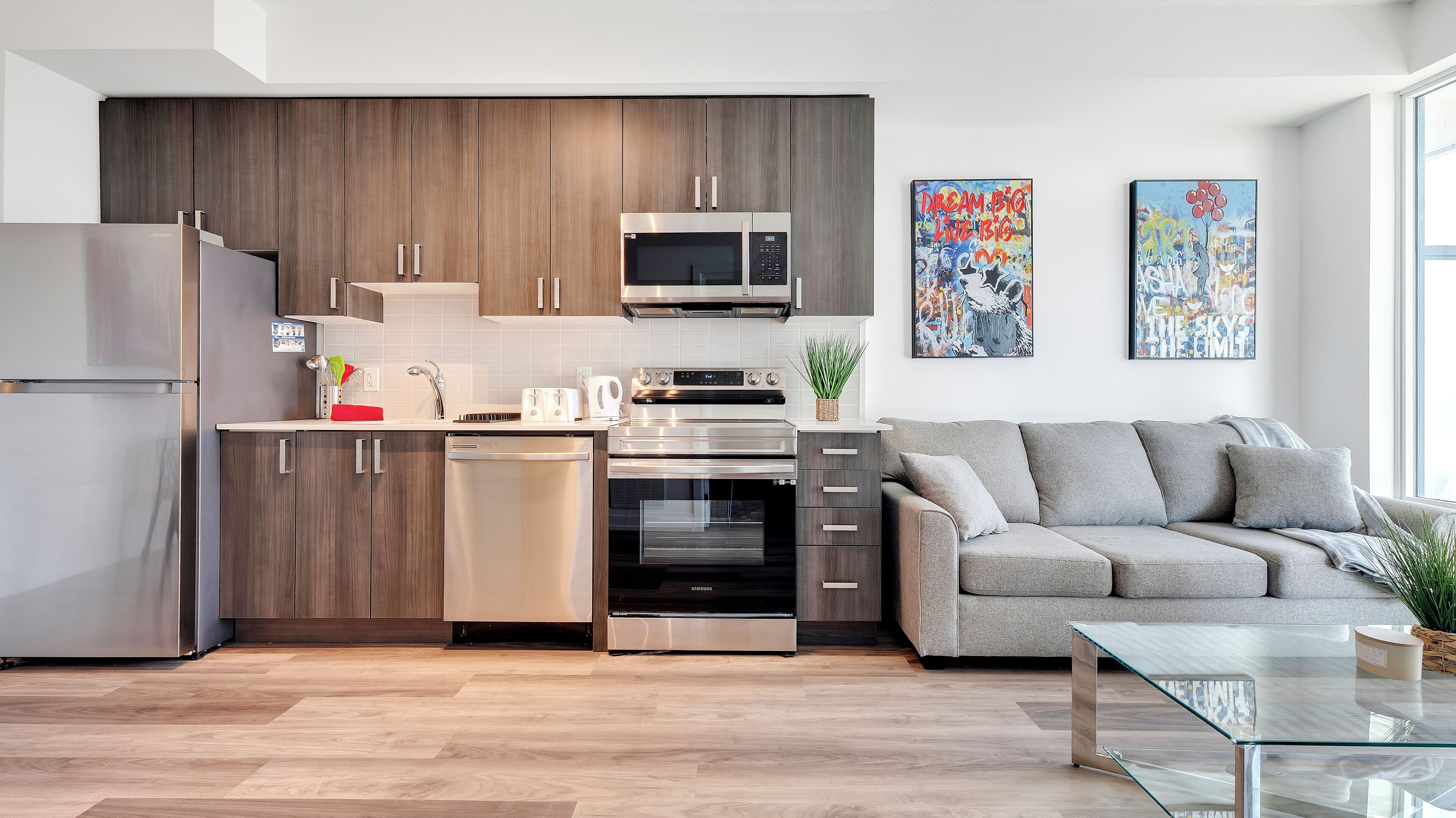 Microwave, oven, stovetop, dishwasher