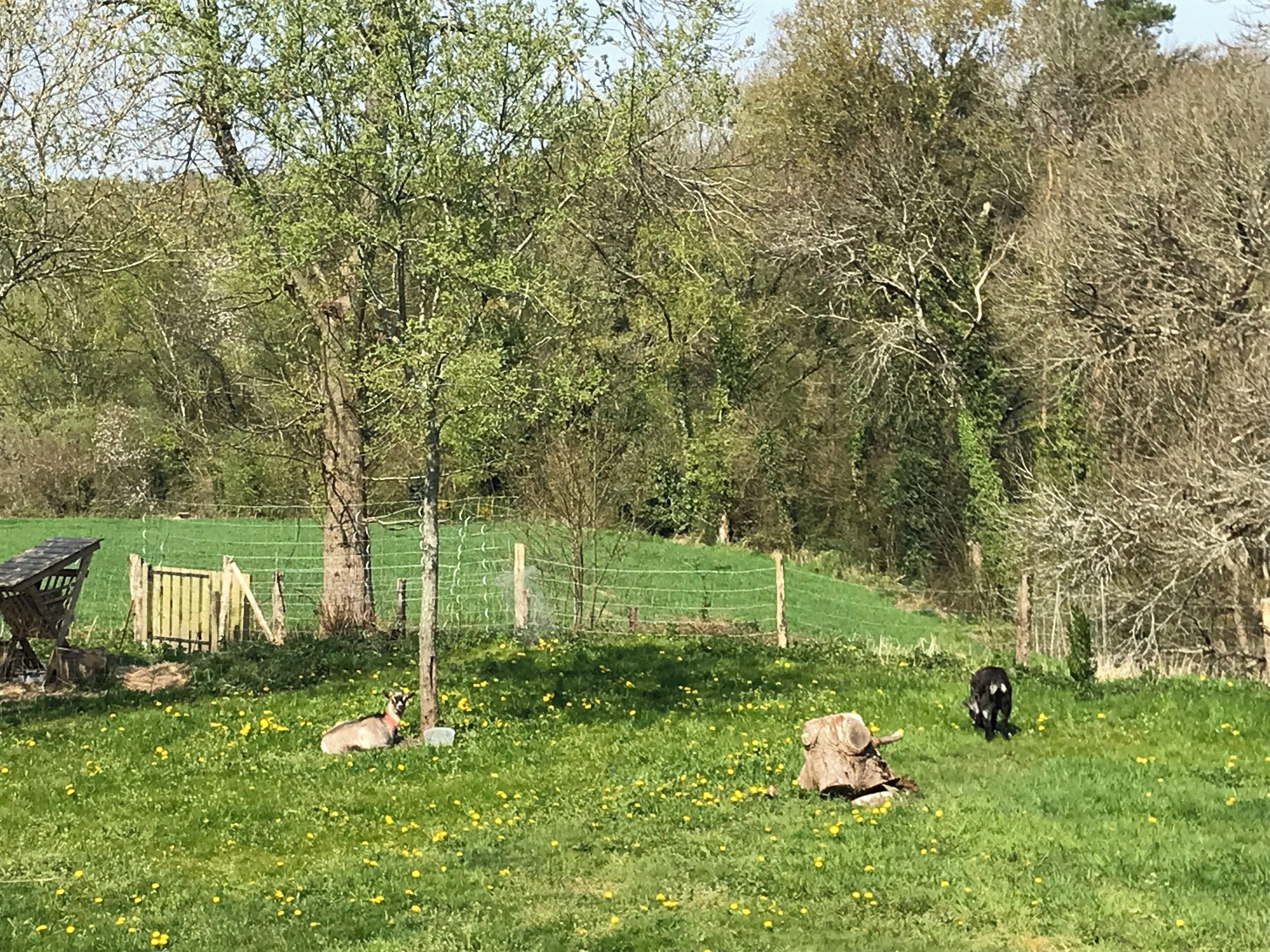 Enceinte de l’hébergement