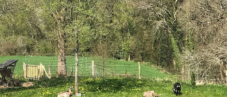 Enceinte de lâhĂ©bergement