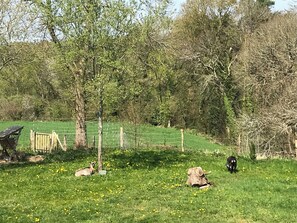 المنطقة المحيطة بالمنشأة