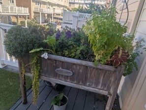 Áreas de la propiedad