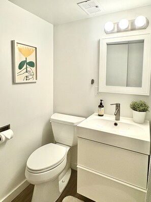 Hair dryer, towels, soap, toilet paper