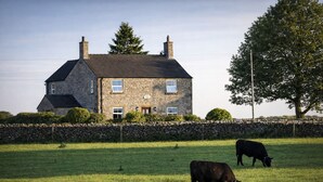 Une maison en pierre avec un mur de pierre à l’avant, deux vaches qui paissent dans un champ et un grand arbre sur la droite.