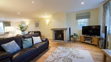 TV connectée, cheminée