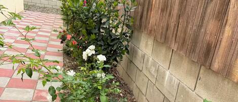 Un jardín con diversas plantas y flores, cerca de madera y un camino empedrado.
