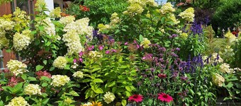 Apartment Gänseblümchen in a beautiful country idyll, between Munich and the Alps