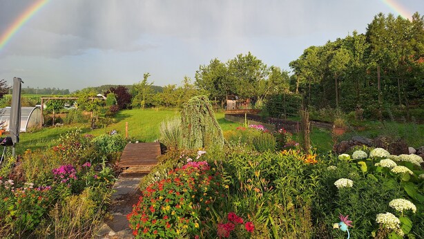 Un jardin avec un sentier en bois, différentes plantes et un arc-en-ciel.