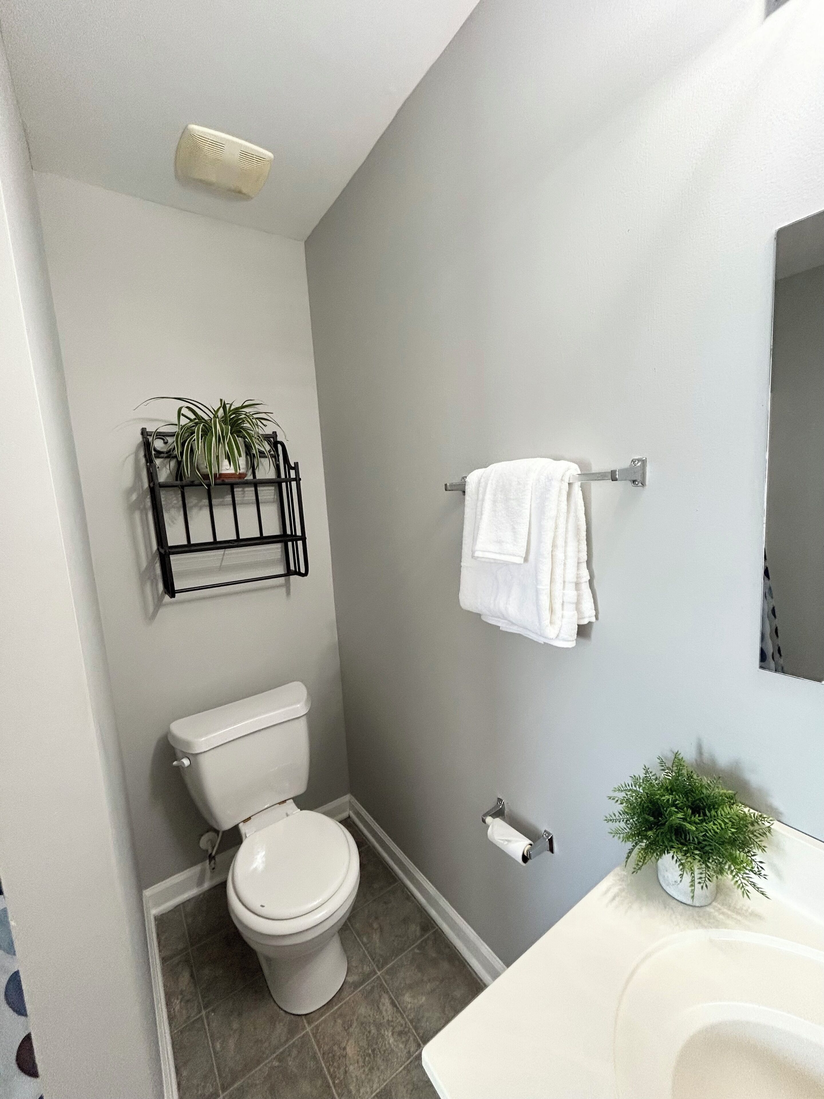A bathroom with a toilet, a towel rack, a plant, and a sink.