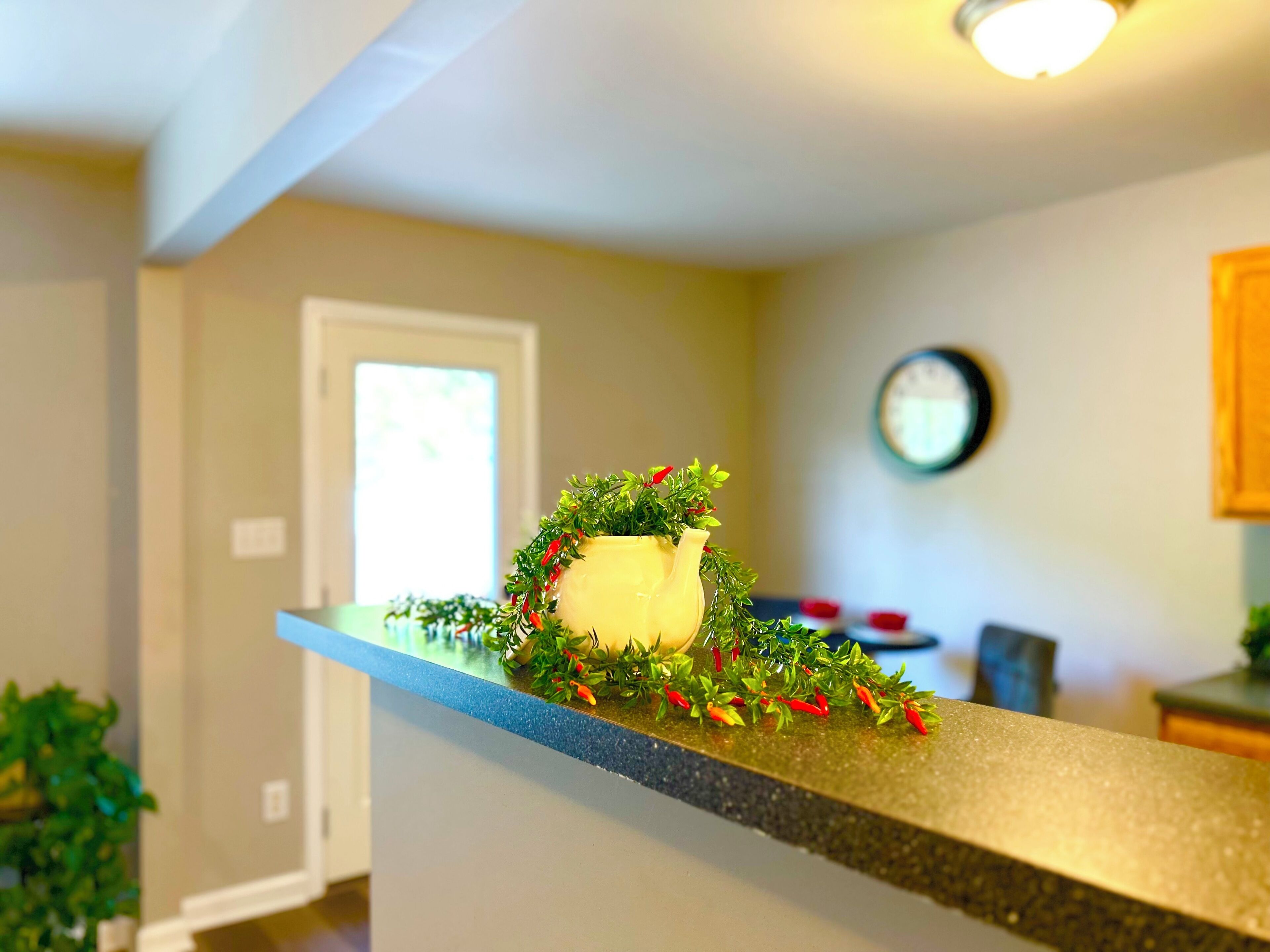 A kitchen counter with a decorative plant arrangement.