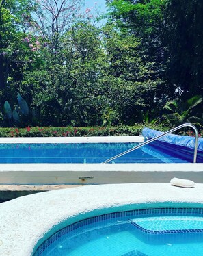 Une piscine dont le bord est revêtu de carreaux, entourée d’une végétation luxuriante et d’arbres.