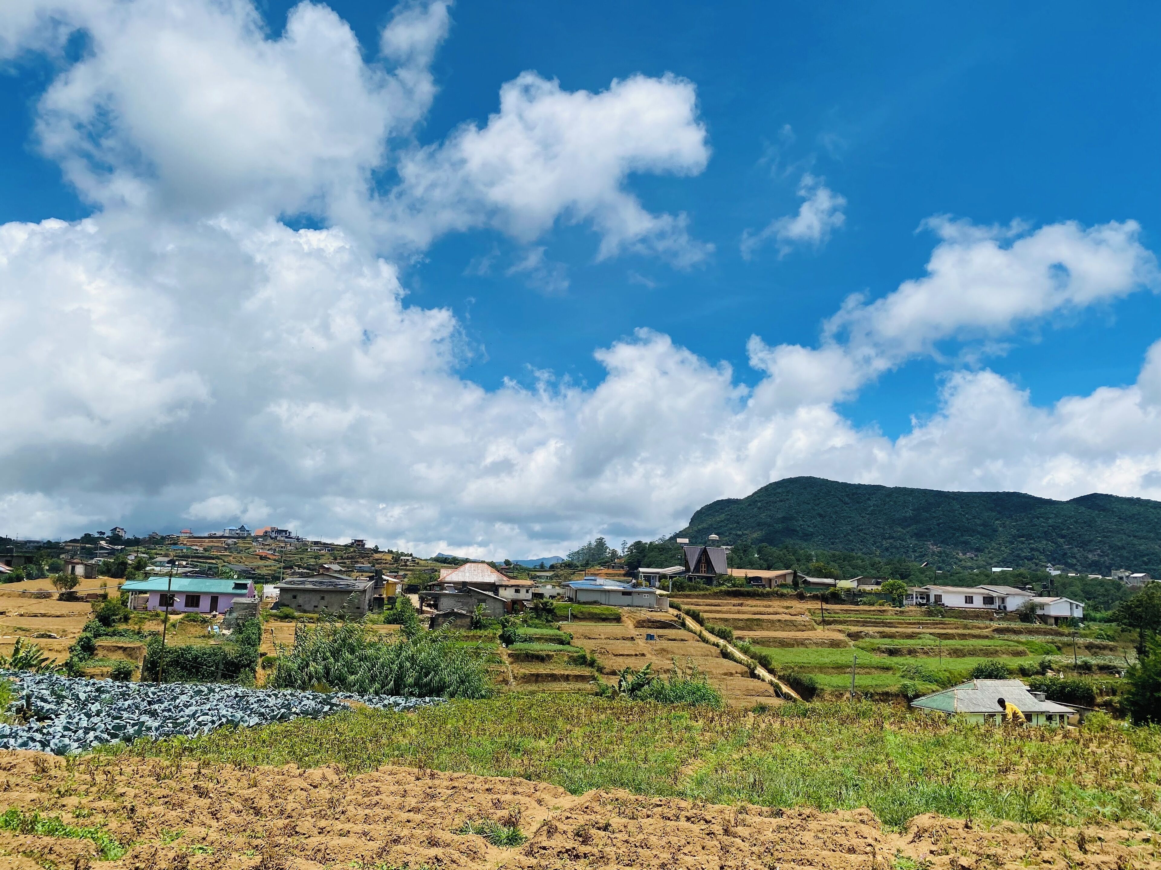 A rural landscape with terraced fields, scattered houses, and a mountain in the background.