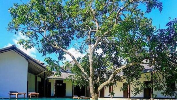 A clear blue swimming pool with a tree in the center, surrounded by buildings with a simple architectural style. - Stuart House Tangalle (Tangalle)