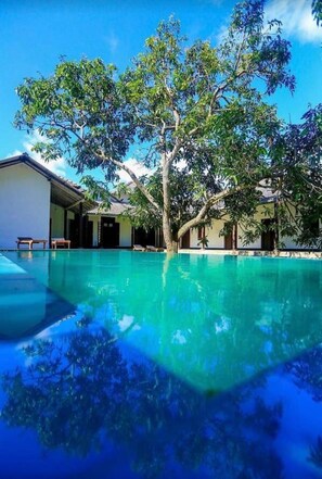 Una piscina azul cristalina con un árbol en el centro, rodeada de edificios de arquitectura sencilla.