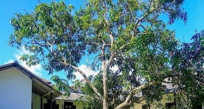 Stuart House Tangalle