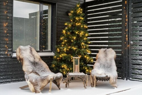 Apartment Finnish Swan By Lapland Host