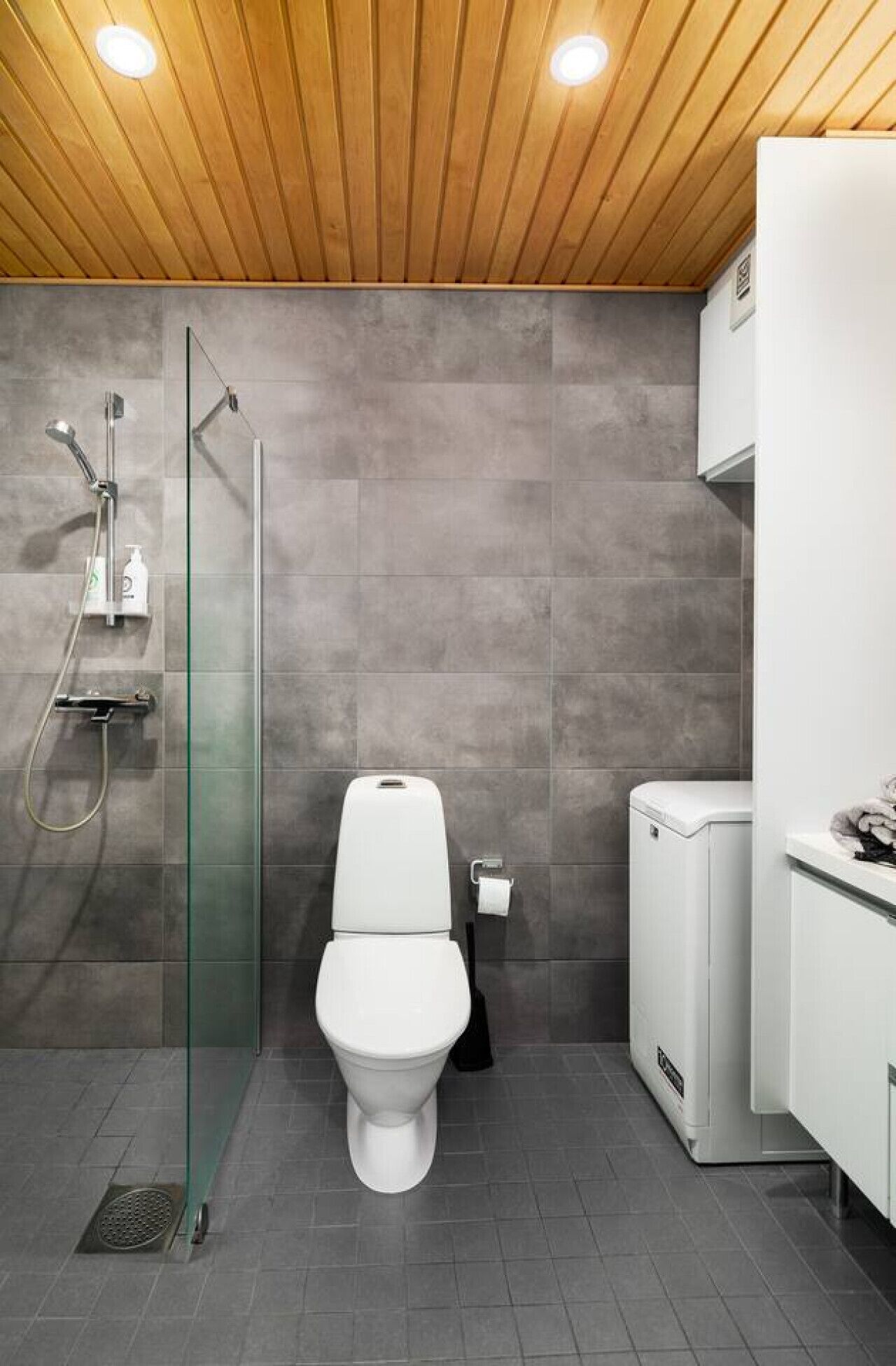 Hair dryer, towels, toilet paper