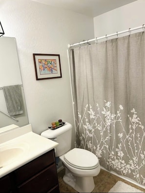 Shower, hair dryer, towels, toilet paper