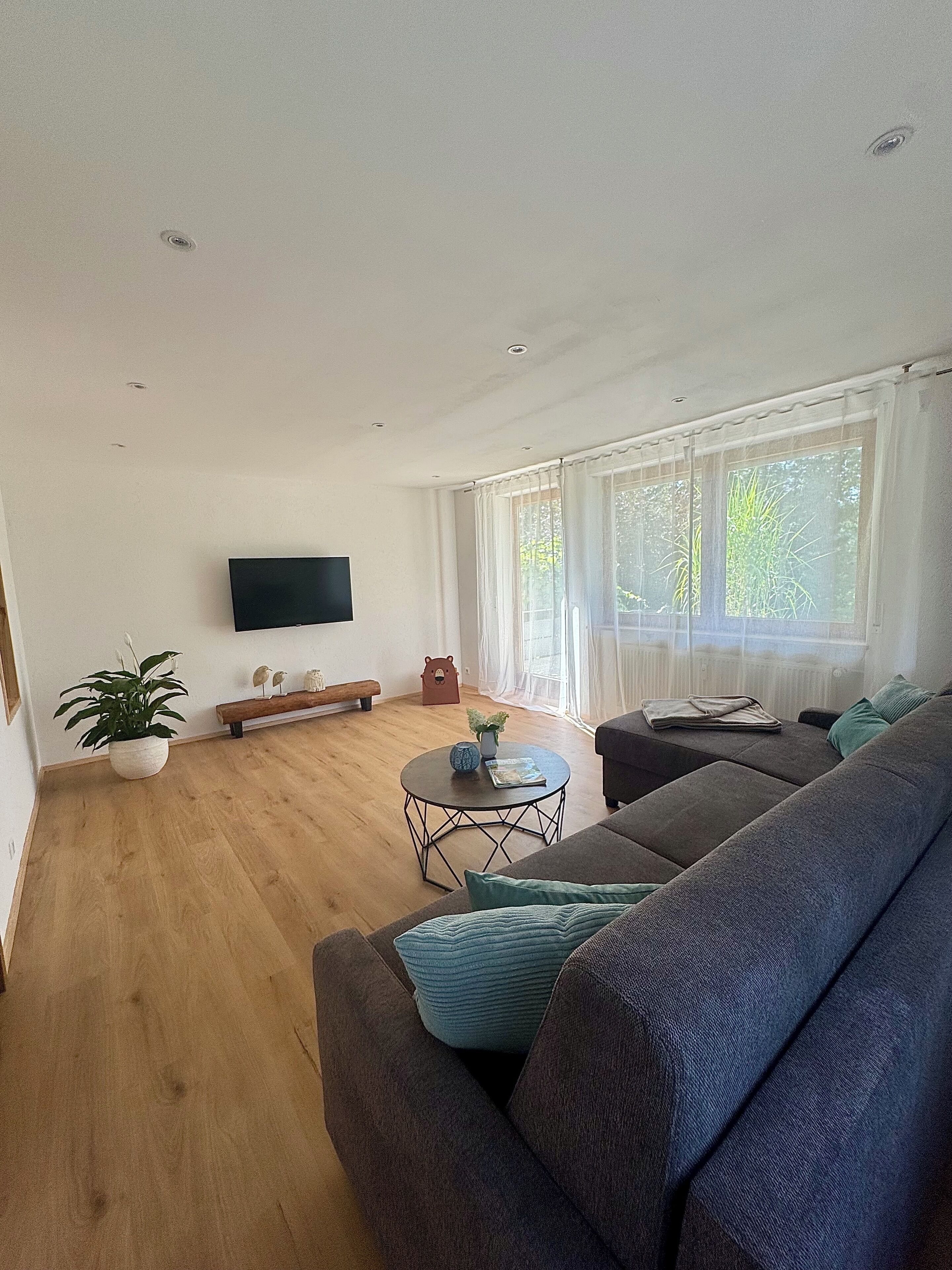 Téléviseur connecté, livres