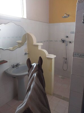 Towels, soap, toilet paper - Beautiful 4 bedroom house with A/C, TV, internet and 4 individual bathrooms. (Mérida)