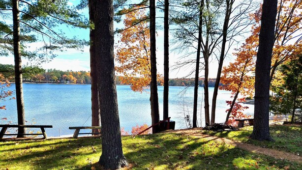 Un parc au bord du lac, doté de tables de pique-nique et de bancs, entouré d’arbres aux feuilles d’automne.