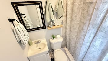 Shower, towels, soap, toilet paper